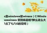 c盘windows里winsxs（C:Windowswinsxs 里到底是啥?肿么这么大?占了七八G的空间）