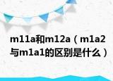 m11a和m12a（m1a2与m1a1的区别是什么）