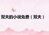 双夫的小说免费（双夫）