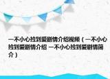 一不小心捡到爱剧情介绍视频（一不小心捡到爱剧情介绍 一不小心捡到爱剧情简介）