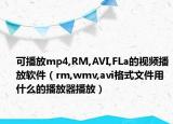 可播放mp4,RM,AVI,FLa的视频播放软件（rm,wmv,avi格式文件用什么的播放器播放）