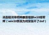 涓轰粈涔堟棤娉曞畨瑁厀in10绯荤粺（win10系统为何安装不了dnf）