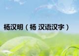 杨汉明（杨 汉语汉字）