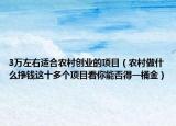 3万左右适合农村创业的项目（农村做什么挣钱这十多个项目看你能否得一桶金）