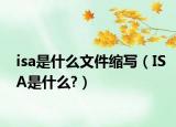 isa是什么文件缩写（ISA是什么?）