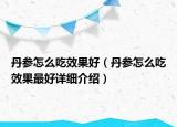 丹参怎么吃效果好（丹参怎么吃效果最好详细介绍）
