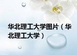 华北理工大学图片（华北理工大学）