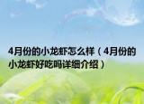 4月份的小龙虾怎么样（4月份的小龙虾好吃吗详细介绍）