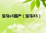 宝马x5国产（宝马X5）