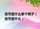 音节是什么举个例子（音节是什么）