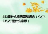 453是什么意思网络语言（\
