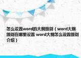 怎么设置word的大纲级别（word大纲级别在哪里设置 word大纲怎么设置级别介绍）