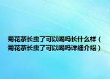 菊花茶长虫了可以喝吗长什么样（菊花茶长虫了可以喝吗详细介绍）