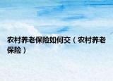 农村养老保险如何交（农村养老保险）