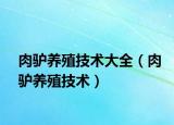 肉驴养殖技术大全（肉驴养殖技术）