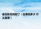 春花秋月何时了（往事知多少 什么意思）