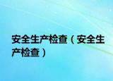安全生产检查（安全生产检查）