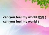can you feel my world 歌词（can you feel my world）