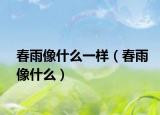 春雨像什么一样（春雨像什么）