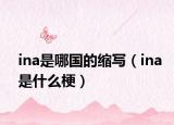 ina是哪国的缩写（ina是什么梗）