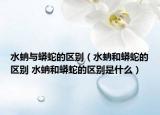 水蚺与蟒蛇的区别（水蚺和蟒蛇的区别 水蚺和蟒蛇的区别是什么）