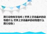 爬行动物有牙齿吗（世界上牙齿最多的动物是什么 世界上牙齿最多的动物是什么爬行动物）