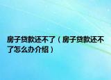 房子贷款还不了（房子贷款还不了怎么办介绍）