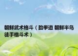 朝鲜武术格斗（跆拳道 朝鲜半岛徒手格斗术）
