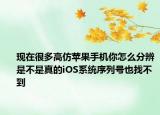 现在很多高仿苹果手机你怎么分辨是不是真的iOS系统序列号也找不到