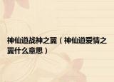 神仙道战神之翼（神仙道爱情之翼什么意思）