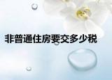 非普通住房要交多少税
