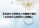 玉米是什么时候传入中国哪个朝代（玉米是什么时候传入中国的）