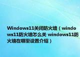 Windows11关闭防火墙（windows11防火墙怎么关 windows11防火墙在哪里设置介绍）