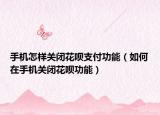 手机怎样关闭花呗支付功能（如何在手机关闭花呗功能）
