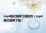 mp4格式视频下载软件（mp4格式视频下载）