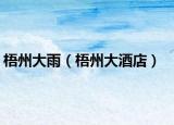 梧州大雨（梧州大酒店）