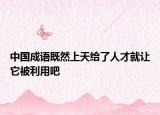 中国成语既然上天给了人才就让它被利用吧