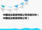 中国铝业集团有限公司待遇怎样（中国铝业集团有限公司）