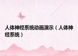 人体神经系统动画演示（人体神经系统）