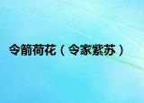 令箭荷花（令家紫苏）