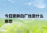今日更新白厂丝是什么意思