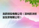 龙跃创投有限公司（深圳跃洋创业投资有限公司）