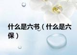 什么是六书（什么是六保）
