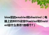 bios里的enabled和disabled（电脑上的BIOS设定Disabled和Enabled是什么意思?选哪个?）