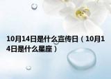 10月14日是什么宣传日（10月14日是什么星座）