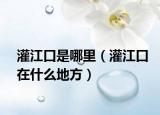 灌江口是哪里（灌江口在什么地方）