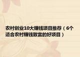 农村创业10大赚钱项目推荐（6个适合农村赚钱致富的好项目）