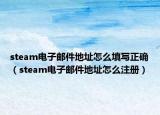 steam电子邮件地址怎么填写正确（steam电子邮件地址怎么注册）