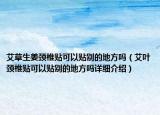 艾草生姜颈椎贴可以贴别的地方吗（艾叶颈椎贴可以贴别的地方吗详细介绍）