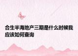 合生半海地产三期是什么时候我应该如何查询